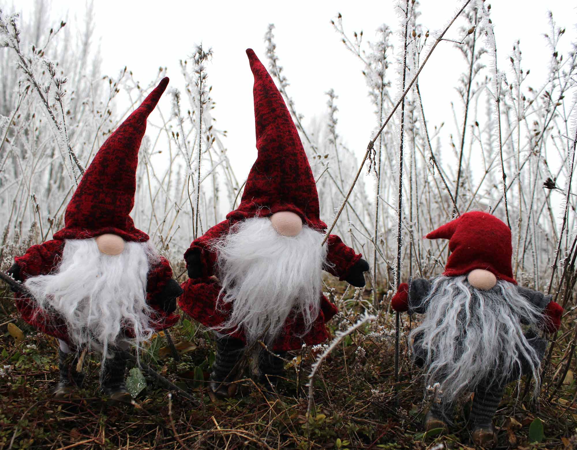 Redi-Islande_lutins